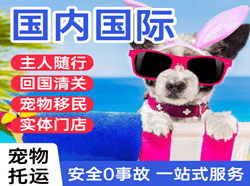 莎车叶尔羌航空空运国际宠物托运 【国